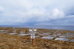 Gozo marais salants DR